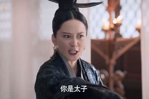 庆余年2太子与皇后_庆余年太子是皇后的儿子吗