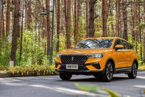 10万以内口碑最好的suv_十万左右落地公认最好车suv