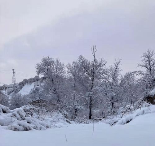 短剧全集免费看雪落下的声音_雪落下的声音 免费
