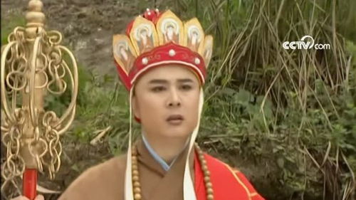 短剧免费看全集西游_给我播放西游电视剧