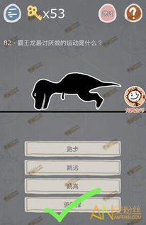 短剧16.锦龙（82集）免费在线观看_锦龙是做什么的
