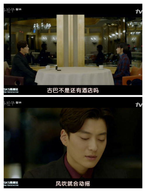 短剧前夫我们不熟免费在线观看_前夫我们不回头