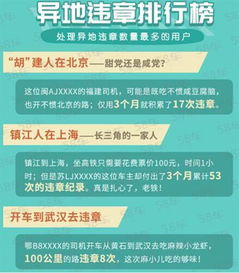 最准违章查询_最专业的违章查询网--第1张