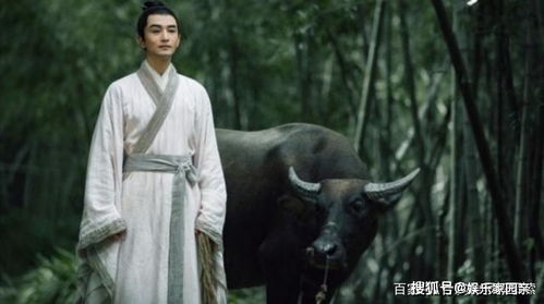 短剧陆太太她是个乌鸦嘴免费在线观看_陆太太祖传乌鸦嘴--第1张
