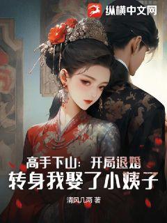 短剧高手下山：从退婚开始免费在线观看_高手下山小说--第1张