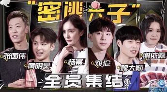 短剧逃妻归来：三个女宝甜又飒免费在线观看--第1张