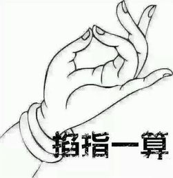 不胫而走的意思_不胫而走的意思解释--第1张