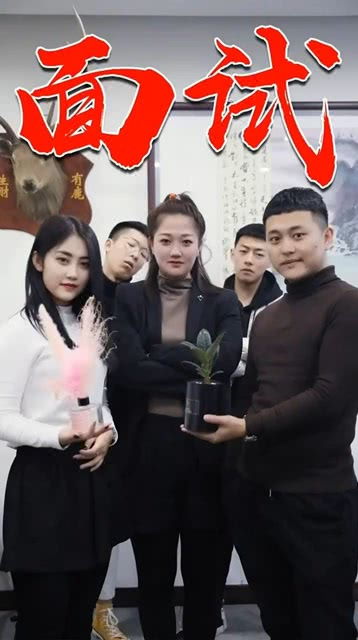 短剧职场风云免费在线观看_职场风云网剧--第1张