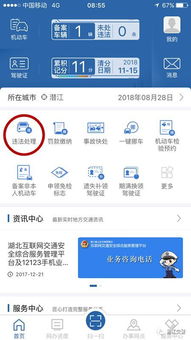 如何查询非本人名下车辆违章_查询非本人名下车辆违章的app--第1张