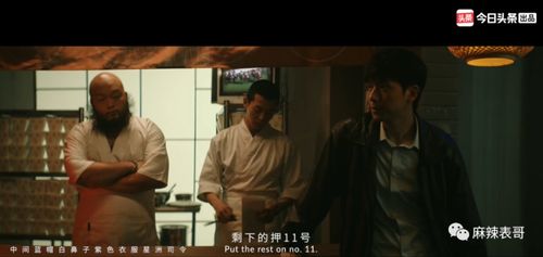 短剧野宠免费在线观看_播放电视剧野猫--第1张