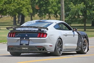 福特野马shelbygt500_福特野马Shelbygt350r国内价格--第1张