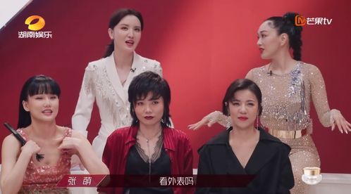 短剧乘风破浪的婚姻免费在线观看_电视剧乘风破浪演员表--第1张