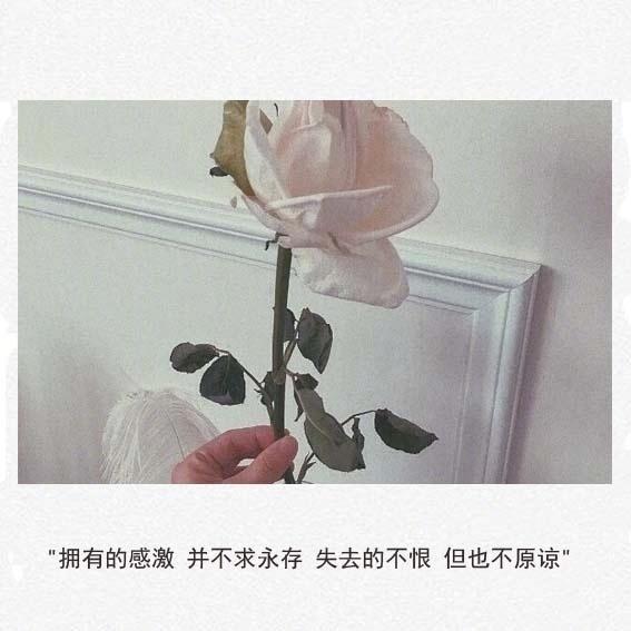 简短精辟的个性签名_干净气质个签8个字--第1张