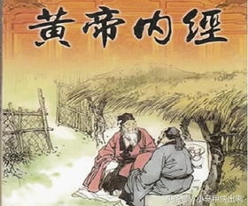逍遥医道小说免费阅读全文最新章节_逍遥医道境界划分--第1张