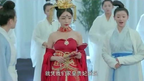 短剧贵妃娘娘当网红免费在线观看_贵妃娘娘演员--第1张