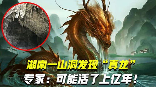 短剧我以真龙降世免费在线观看--第1张