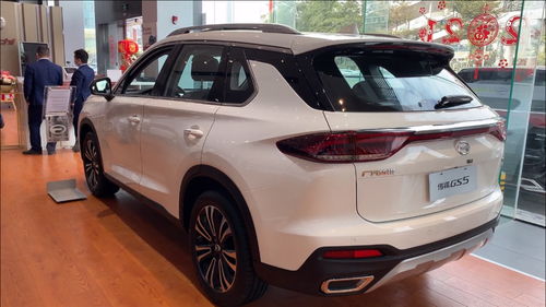 2021年最新款suv上市_最新款的suv--第1张
