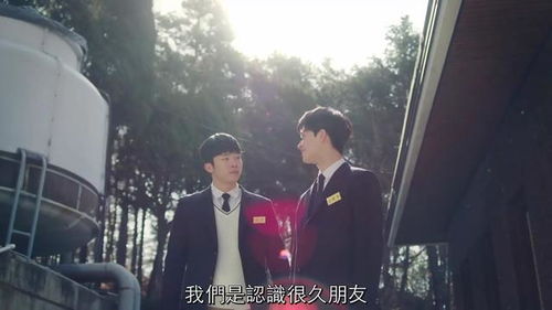 热播短剧保镖老爸免费在线观看_电视剧保镖--第1张