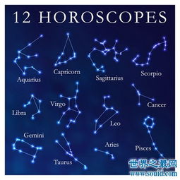 十二生肖星座性格查询表图_十二生肖星座对照表--第1张