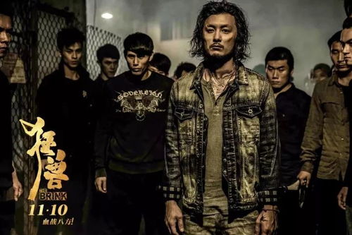 热播短剧替嫁后我成了大佬的白月光免费在线观看_替嫁后成了大佬的掌心娇--第1张