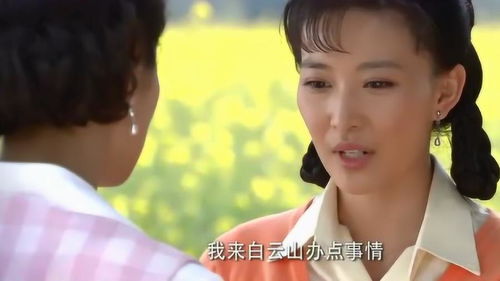 热播短剧我的美女嫂子长篇免费在线观看--第1张
