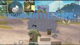 关于和平精英的短视频 (关于和平精英的英语介绍)--第1张