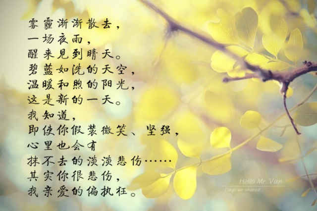 短剧世界因你温柔免费在线观看_世界因你而温暖--第1张