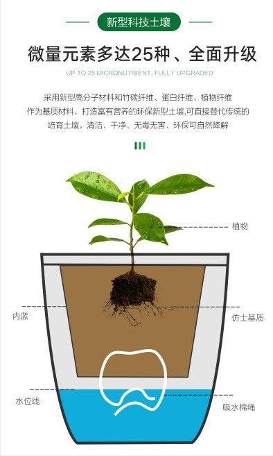 懒人花园绿植图片_懒人花园绿植图片高清--第1张