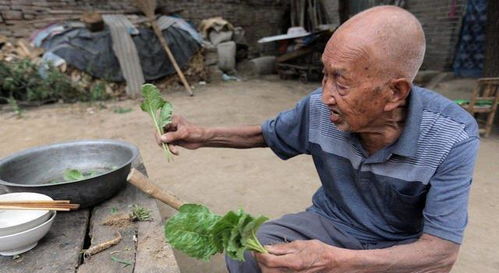 短剧我靠拾荒赚百亿家产免费在线观看_我靠拾荒称霸三界笔趣阁--第1张