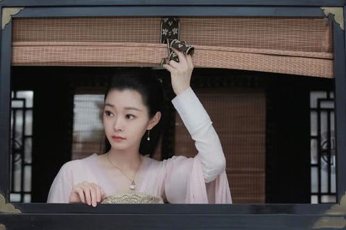 短剧真假双龙&归龙&冒牌赘婿胡皓怡免费在线观看--第1张