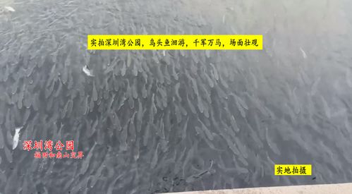 水都拉丝了还说不_拉丝变成水状是结束排卵了--第1张