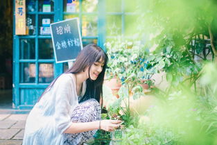 短剧林深暗香来免费在线观看_林深是什么小说--第1张