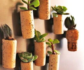 懒人绿植盆栽礼物手工作品_绿植盆手工制作--第1张