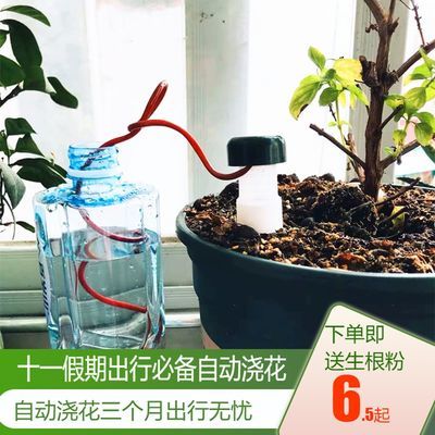 绿植懒人浇水_懒人浇花--第1张