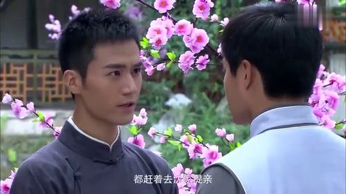 短剧沈小姐你被逐出家门免费在线观看_沈小姐今天复婚了吗?--第1张