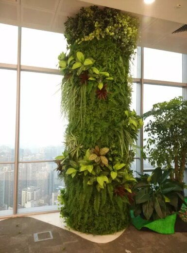 懒人绿植墙造景图片高清_懒人养的绿植有哪些--第1张