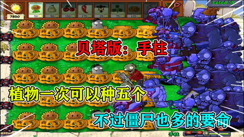 懒人桌面绿植_桌面创意小植栽--第1张