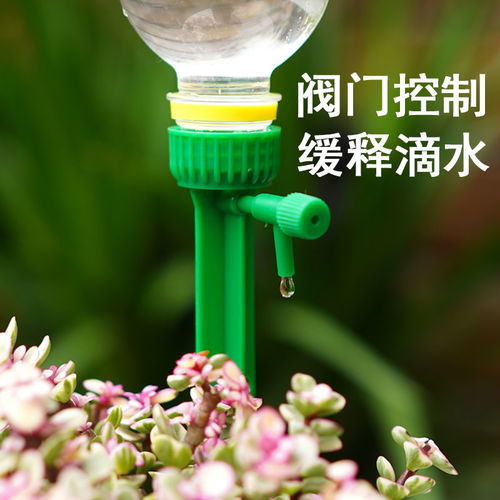 绿植懒人滴灌器_自制矿泉水浇花滴灌器--第1张