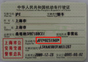 黑龙江交通违章查询_只输入车牌号查询违章--第1张