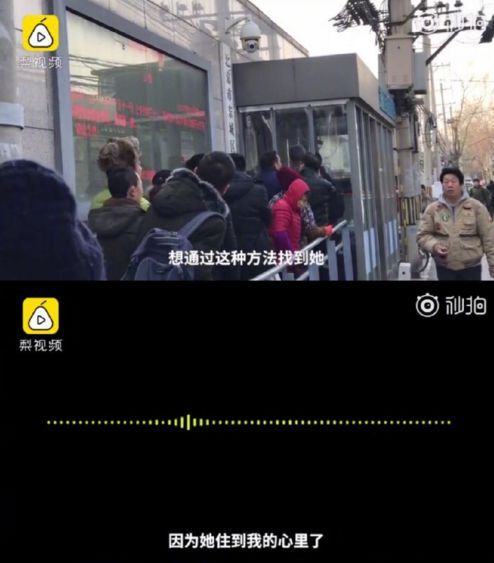 短剧晚风倾情旧人归免费在线观看_晚风诉钟情--第1张