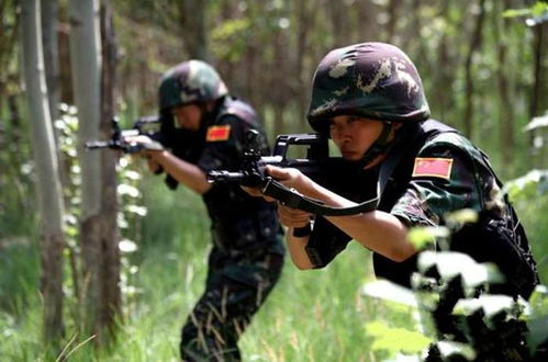 热播短剧特战龙帅免费在线观看_特种兵龙战--第1张