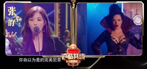 短剧盖世狂龙免费在线观看_盖世狂枭免费无广告--第1张