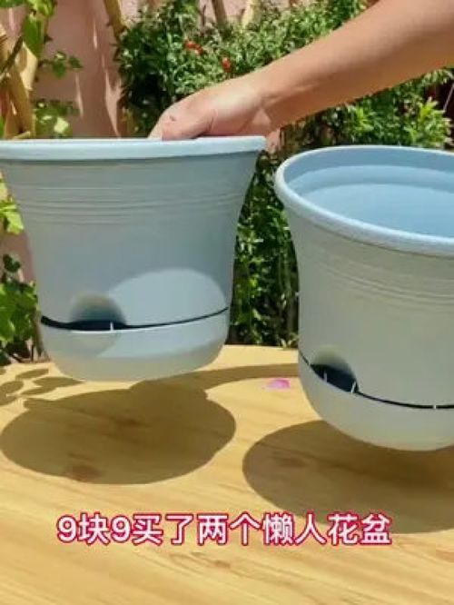 绿植带懒人盆_用懒人盆养花好吗--第1张