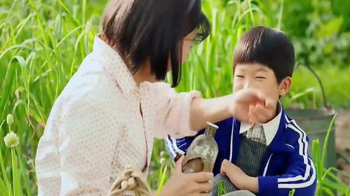 短剧小浩的逍遥生活免费在线观看_红果短剧免费看全集--第1张