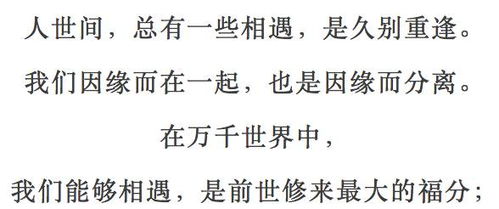 短剧今时重逢不相识免费在线观看_今日重逢是明日的相遇--第1张
