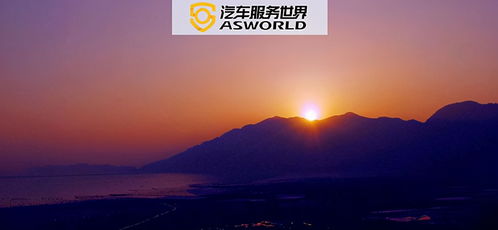 短剧登顶全球从继承百亿开始免费在线观看的简单介绍--第1张