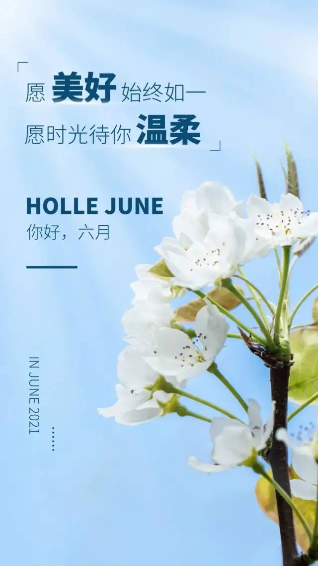 懒人绿植文案句子_适合绿植的朋友圈说说--第1张