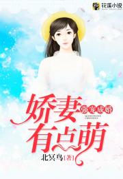 短剧强宠失忆娇妻免费在线观看_强宠失宠王妃--第1张