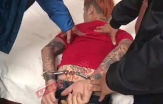 短剧救命，我被美女包围了免费在线观看_救救我我被绑架了--第1张