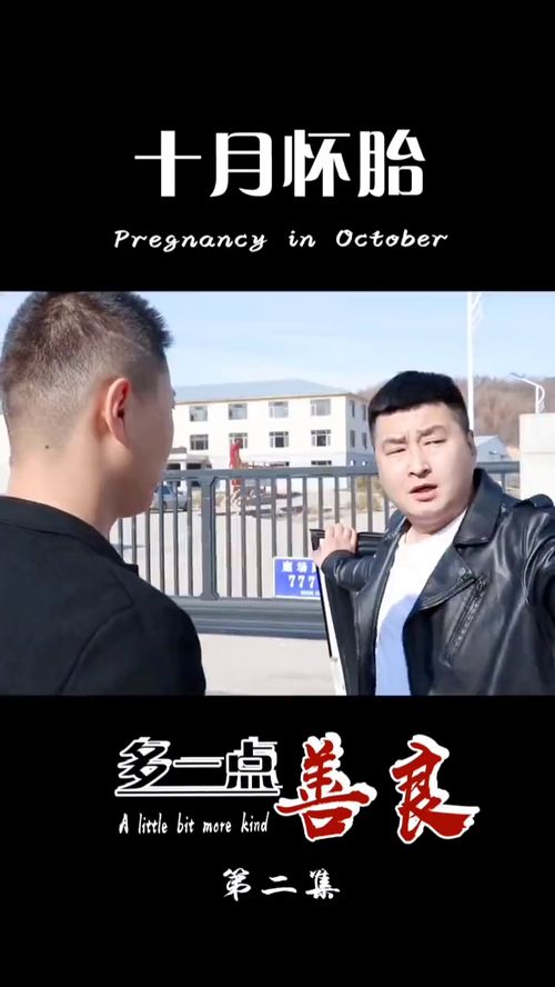 短剧我本良善免费在线观看--第1张